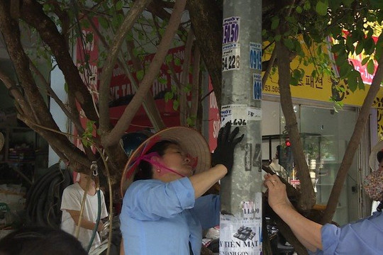 Thái Bình: Hội viên phụ nữ tỉnh hưởng ứng phong trào "sạch nhà, sạch bếp, sạch ngõ"