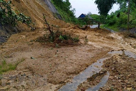 Lào Cai: Mưa lớn, khu vực vùng núi đề phòng lũ quét và sạt lở đất