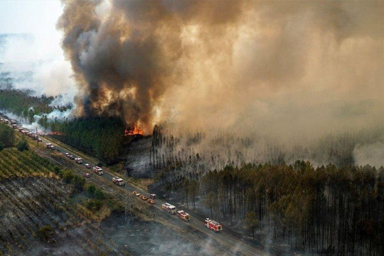Pháp: Cháy rừng đã giải phóng gần 1 triệu tấn CO2 vào khí quyển 