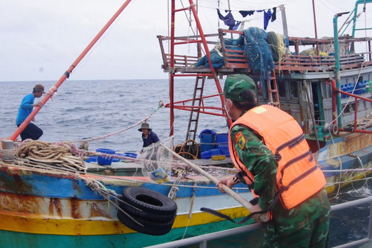 Tập huấn chống khai thác hải sản bất hợp pháp, không khai báo và không theo quy định năm 2022