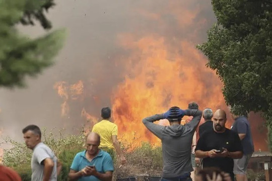 Tây Ban Nha: 1.500 người phải sơ tán vì cháy rừng