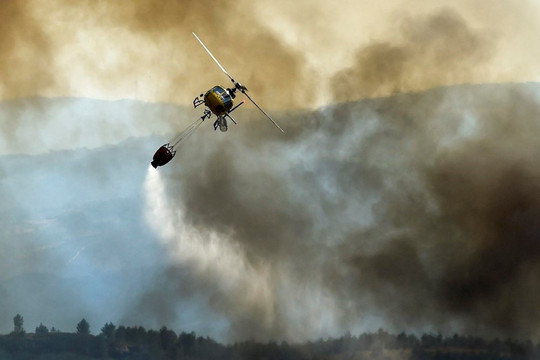 Châu Âu ghi nhận gần 660.000 ha rừng bị tàn phá do giặc lửa