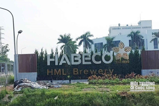 Hà Nội – Bài 2: Người dân bức xúc vì Nhà máy bia Hà Nội – Mê Linh xả thải gây ô nhiễm, Habeco nói gì?