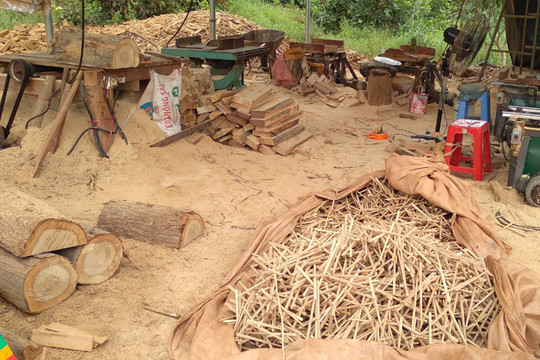 Gia Lai: Phát hiện một xưởng gỗ hoạt động trái phép tại xã biên giới
