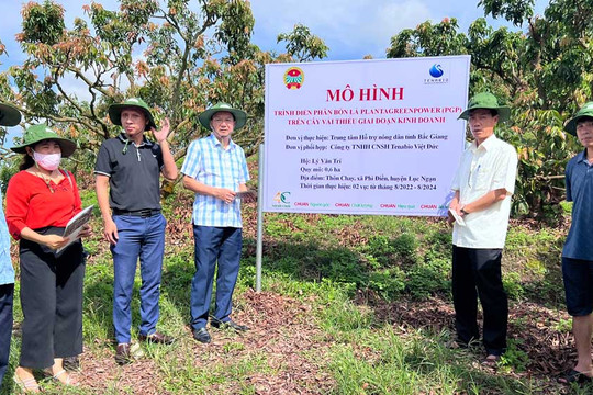 Bắc Giang: Sử dụng phân bón qua lá giúp bảo vệ môi trường