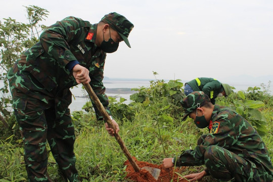 Quảng Ninh: Thực hiện đảm bảo mục tiêu trồng rừng năm 2022