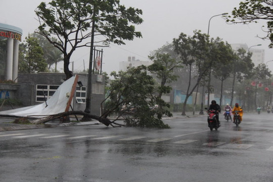 Sẵn sàng thu dung cấp cứu cho nạn nhân do mưa, bão số 3 gây ra