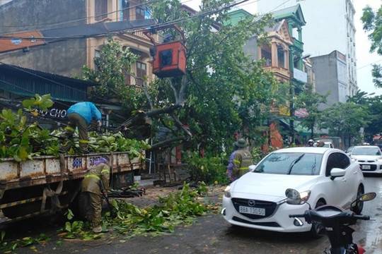 Vĩnh Phúc: Tập trung khắc phục hậu quả sau mưa bão