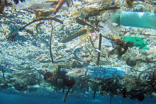 Quảng Ngãi tổ chức Hội thảo Tập huấn đánh giá cơ sở rác thải nhựa đại dương