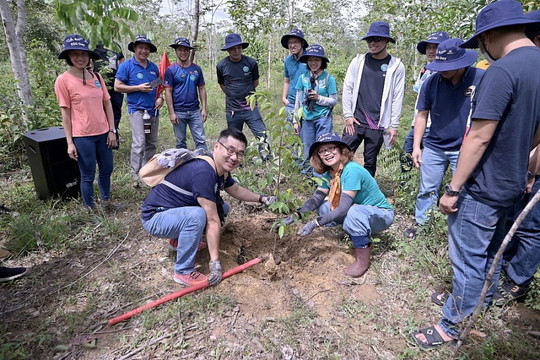 BAT Việt Nam hợp tác với Gaia trồng 120ha rừng tại Cà Mau, Đồng Nai 