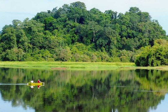 Nghệ An: Quản lý rừng bền vững tại Vườn quốc gia Pù Mát