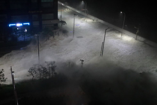Bão Hinnamnor có thể trở thành cơn bão mạnh nhất từng đổ bộ vào Hàn Quốc