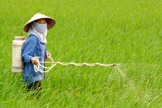 Nghệ An: Cần 51.330 bể chứa bao bì, vỏ chai thuốc bảo vệ thực vật