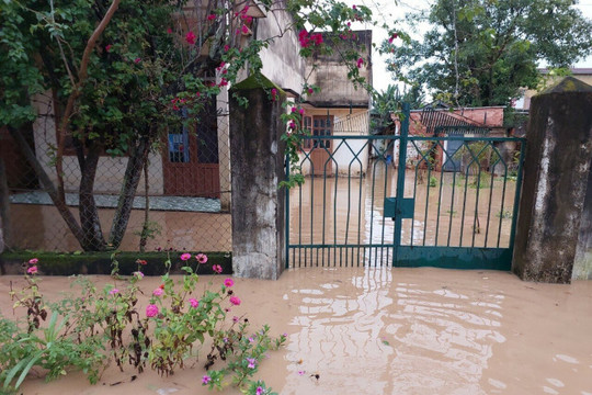 Lâm Đồng lại ngập sâu sau cơn mưa lớn