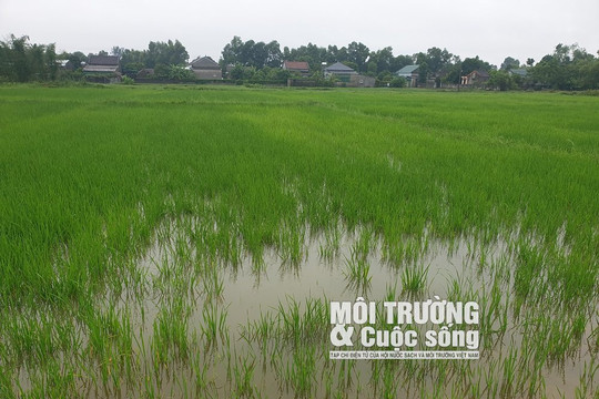 Nghệ An: Mưa lớn tại nhiều địa phương trong tỉnh