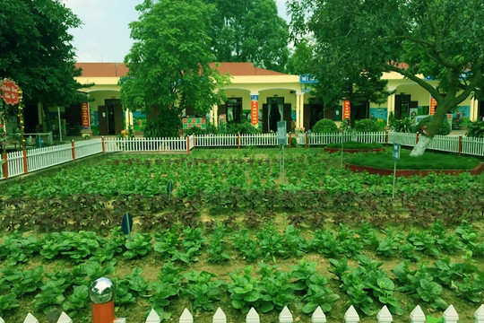 Bắc Giang là điểm sáng về phong trào “Trường học xanh- sạch- đẹp"
