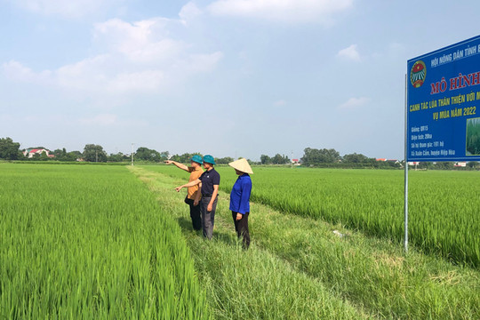 Bắc Giang: Canh tác lúa thân thiện với môi trường