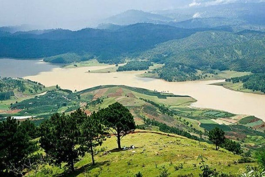 Lâm Đồng: Quy hoạch Khu đô thị Cao nguyên Lâm Viên ảnh hưởng hơn 8.600ha rừng tự nhiên