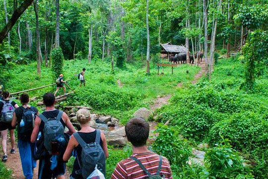 [Infographic] Vườn quốc gia Cúc Phương 4 năm liên tiếp được vinh danh là "Công viên quốc gia hàng đầu châu Á"