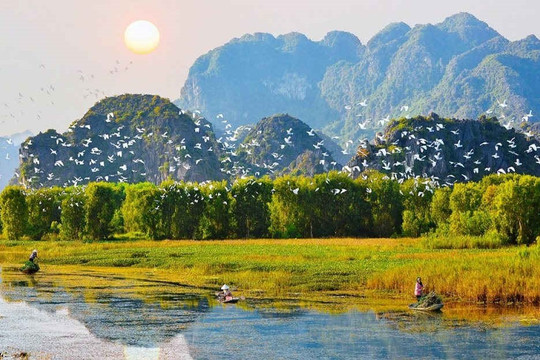 Hành động bảo vệ môi trường, sinh thái tự nhiên ở Việt Nam