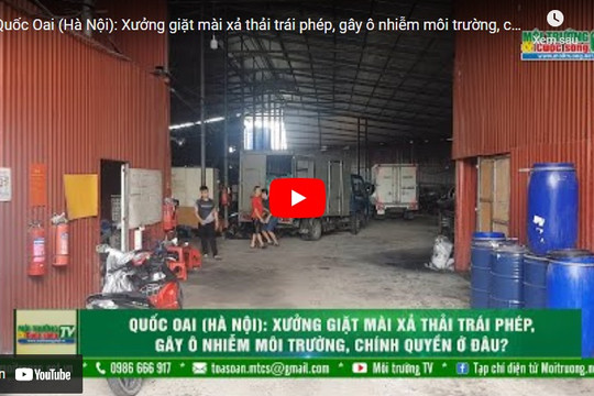 [VIDEO] Quốc Oai (Hà Nội): Xưởng giặt mài xả thải trái phép, gây ô nhiễm môi trường, chính quyền ở đâu?