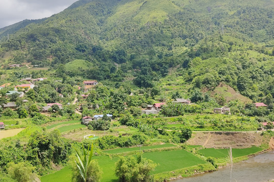 Lào Cai: Phủ xanh đồi hoang hóa nhờ làm tốt dịch vụ môi trường rừng