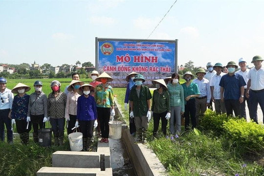 Hải Dương: Triển khai mô hình "Cánh đồng không rác thải" tại huyện Cẩm Giàng