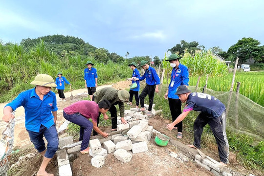 Phú Thọ: Đoàn viên Thanh Sơn xung kích vì môi trường xanh, sạch, đẹp