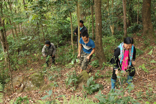Thanh Hóa: Hỗ trợ gạo đợt 3 cho công tác bảo vệ rừng tại huyện Mường Lát