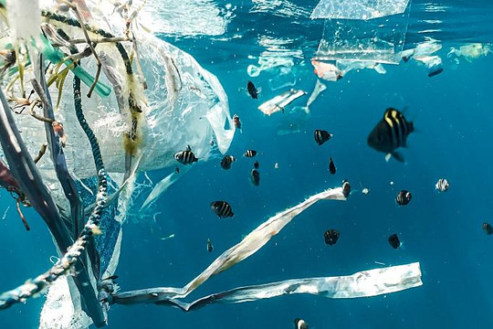 Cấp bách bảo vệ môi trường biển trước vấn nạn rác thải nhựa