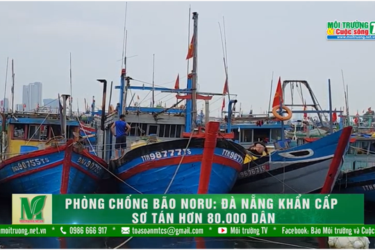 [VIDEO] Phòng chống bão NORU: Đà Nẵng khẩn cấp sơ tán hơn 80.000 dân