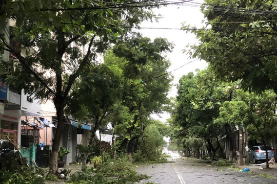 Bão Noru đổ bộ đất liền Đà Nẵng - Quảng Nam: Hàng trăm ngôi nhà bị tốc mái, cây đổ la liệt