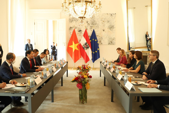 Bộ trưởng Ngoại giao Bùi Thanh Sơn kết thúc chuyến thăm chính thức Cộng hòa Áo