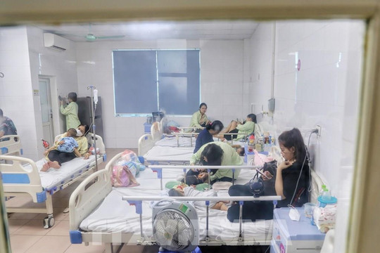Hà Nội ghi nhận 56 ổ dịch sốt xuất huyết  mới