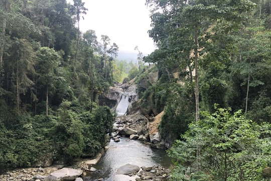 Lào Cai: Kiên quyết loại bỏ những thuỷ điện ảnh hưởng đến rừng và môi trường