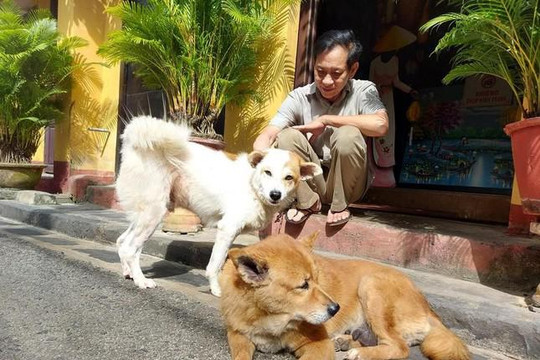 Quảng Nam: Hội An thực hiện dự án không tiêu thụ thịt chó, mèo
