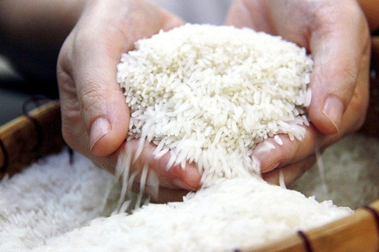 Giá gạo Việt Nam tăng vượt Thái Lan