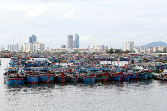 Đà Nẵng: Không cho người và phương tiện khai thác hải sản trên biển, ứng phó với mưa lớn