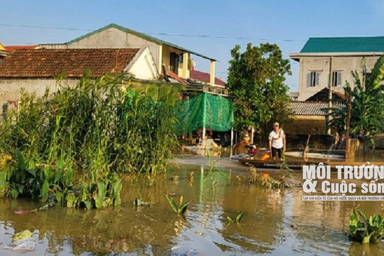 Mưa lớn ở Quảng Bình làm hàng trăm ngôi nhà bị ngập
