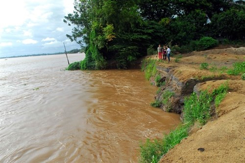 Người dân Đồng Tháp thấp thỏm lo sạt lở bờ sông mùa mưa lũ