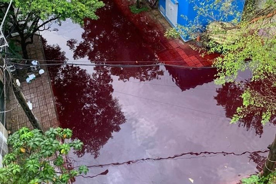Nước đỏ ngầu gây ngập khu dân cư ở TP. Hồ Chí Minh