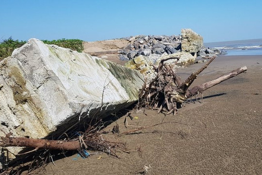 Thanh Hóa: Biển xâm thực dài 1,5 km "nuốt" nhiều ha đất