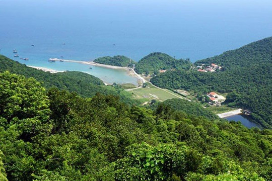 Quảng Ninh thành lập khu bảo tồn biển Cô Tô, đảo Trần rộng hơn 18.000 ha