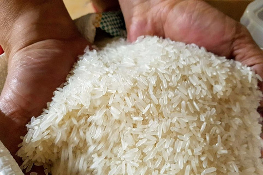 Gạo Việt Nam tiếp tục khẳng định vị thế