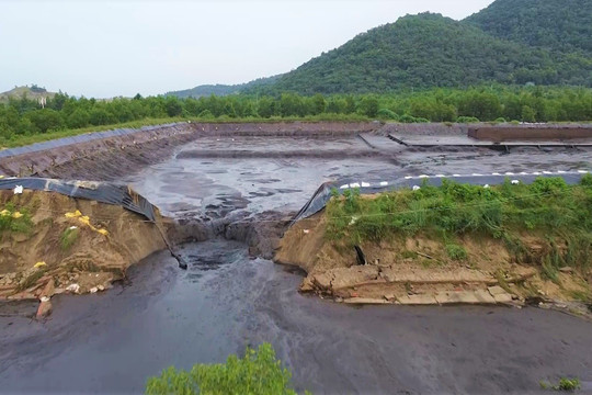 Bà Rịa - Vũng Tàu: UBND tỉnh chỉ đạo khẩn cấp xử lý các sự cố môi trường