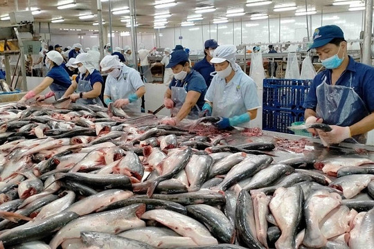 Xuất khẩu thủy sản Việt Nam sắp cán mốc 10 tỷ USD