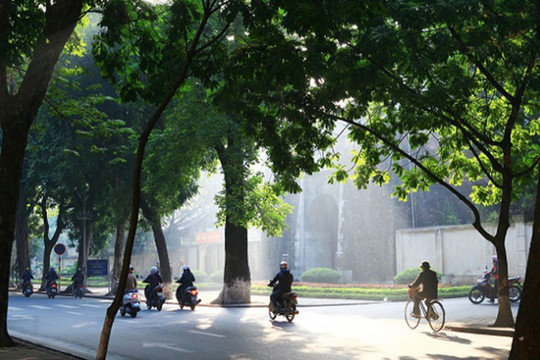 Dự báo thời tiết ngày 8/11/2022: Hà Nội sương mù sáng sớm