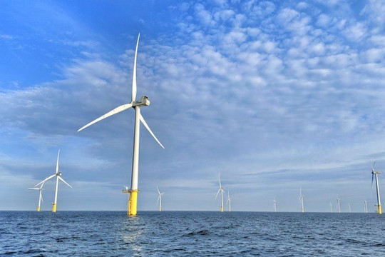 COP27: Thêm 9 quốc gia mới tham gia Liên minh Điện gió ngoài khơi toàn cầu