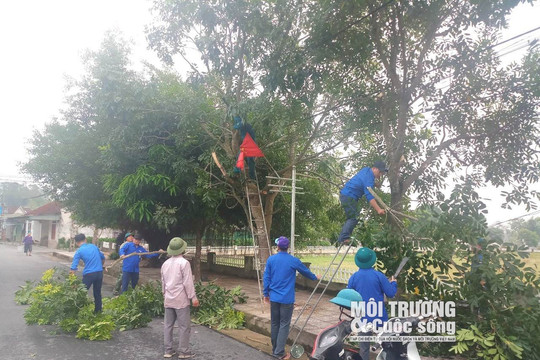 Can Lộc (Hà Tĩnh): Cắt tỉa di dời cây xanh đảm bảo an toàn lưới điện trong mùa mưa bão