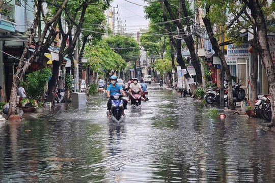 Đà Nẵng: Cảnh báo rủi ro thiên tai cấp 1 do mưa lớn